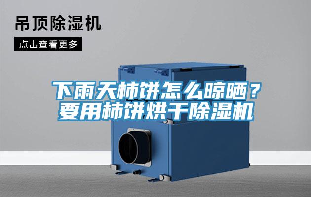 下雨天柿餅怎么晾曬？要用柿餅烘干除濕機